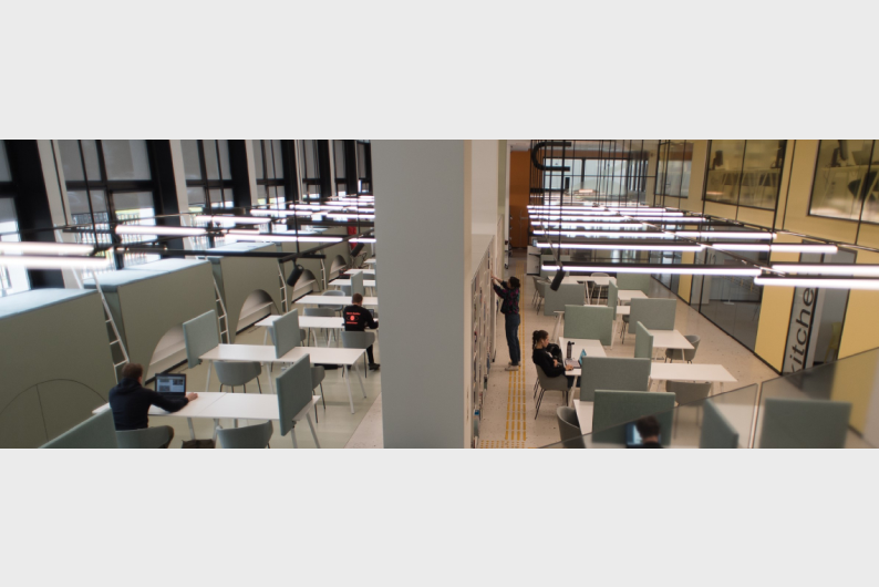 Naujienos iliustracija