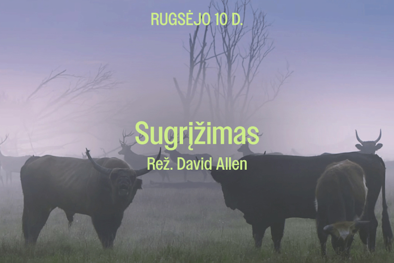 Renginio iliustracija
