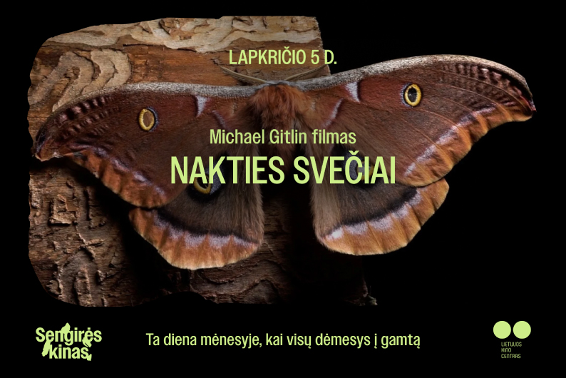 Renginio iliustracija