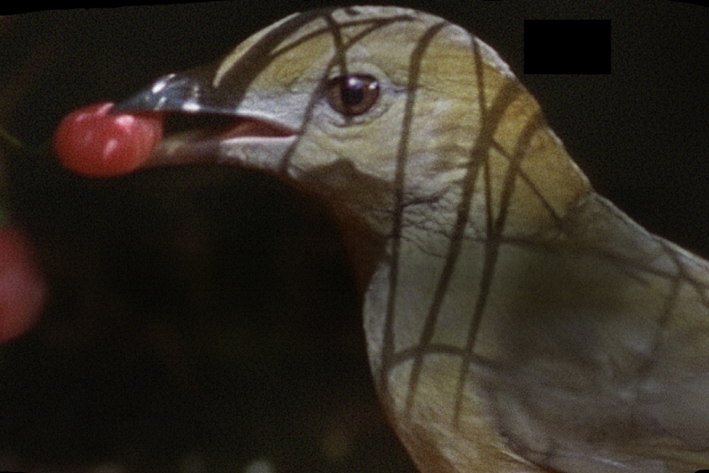 Renginio iliustracija