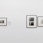 In the photographs of Levas Žiriakovas – “Creators”