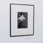 In the photographs of Levas Žiriakovas – “Creators”