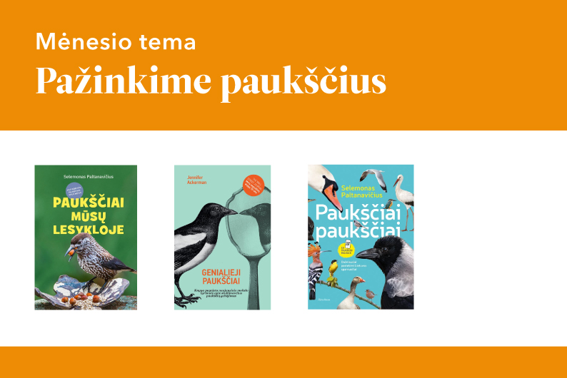 Naujienos iliustracija
