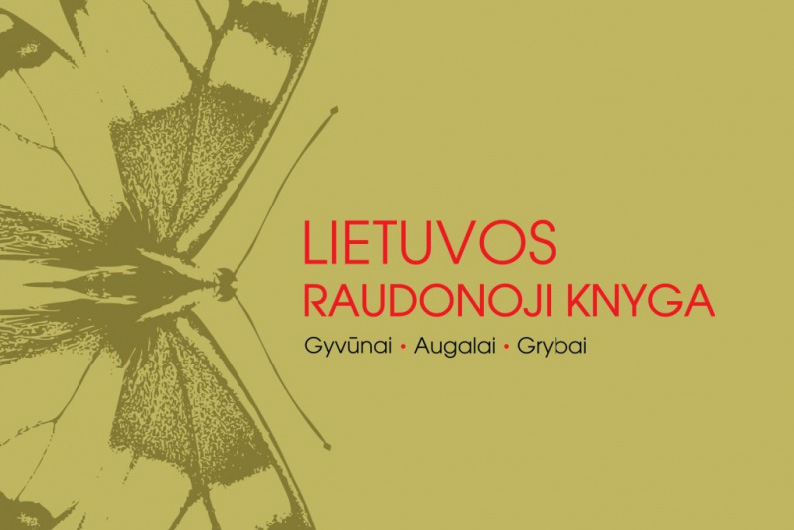 Iliustracija