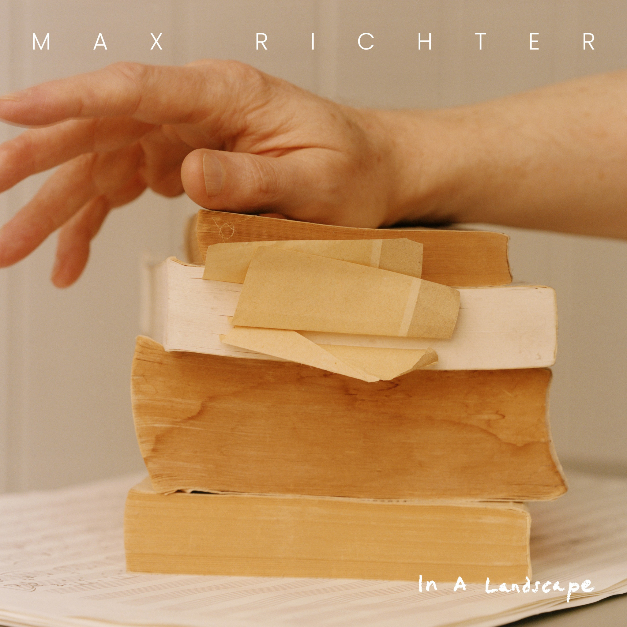 max richter in a landscape cover
